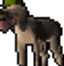Bloodhound